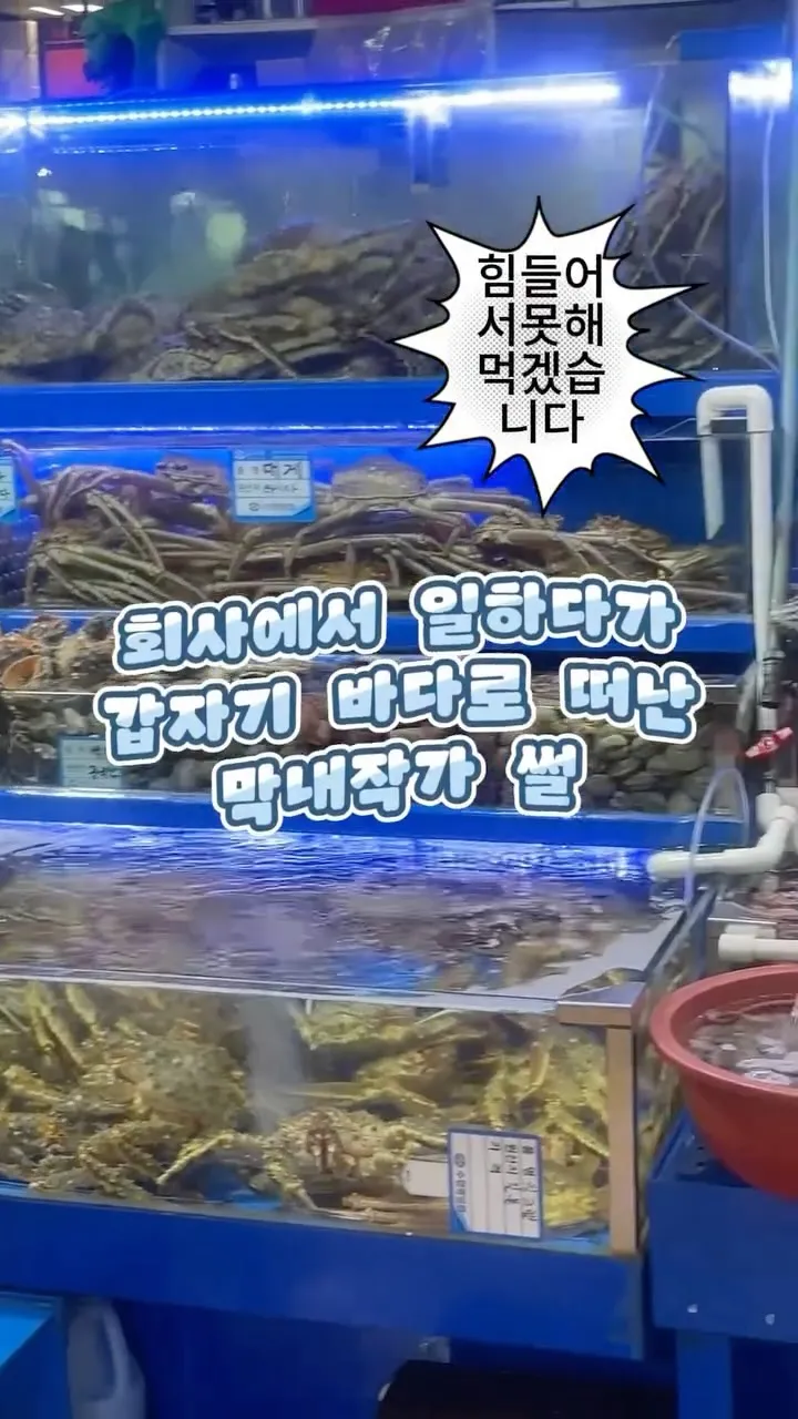 ตึนตึนคว้ากลิ่นอายฤดูใบไม้ผลิที่โนรยังจิน “เหนื่อยจัง เลยขอทำกินแบบรีบๆ หน่อย”