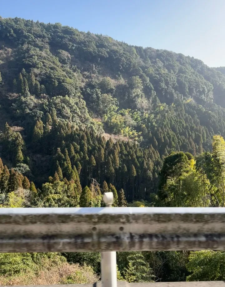 Seo Soojin, alam, foto