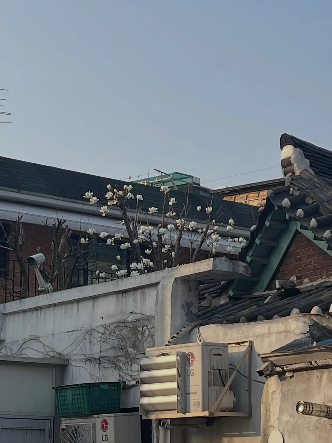 걸스데이, 소진, 봄, 인스타그램, 팬