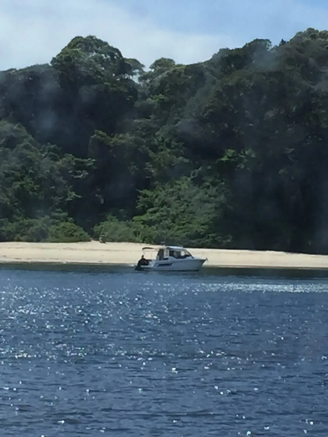 Hong Young-gi, đời thường, thú cưng