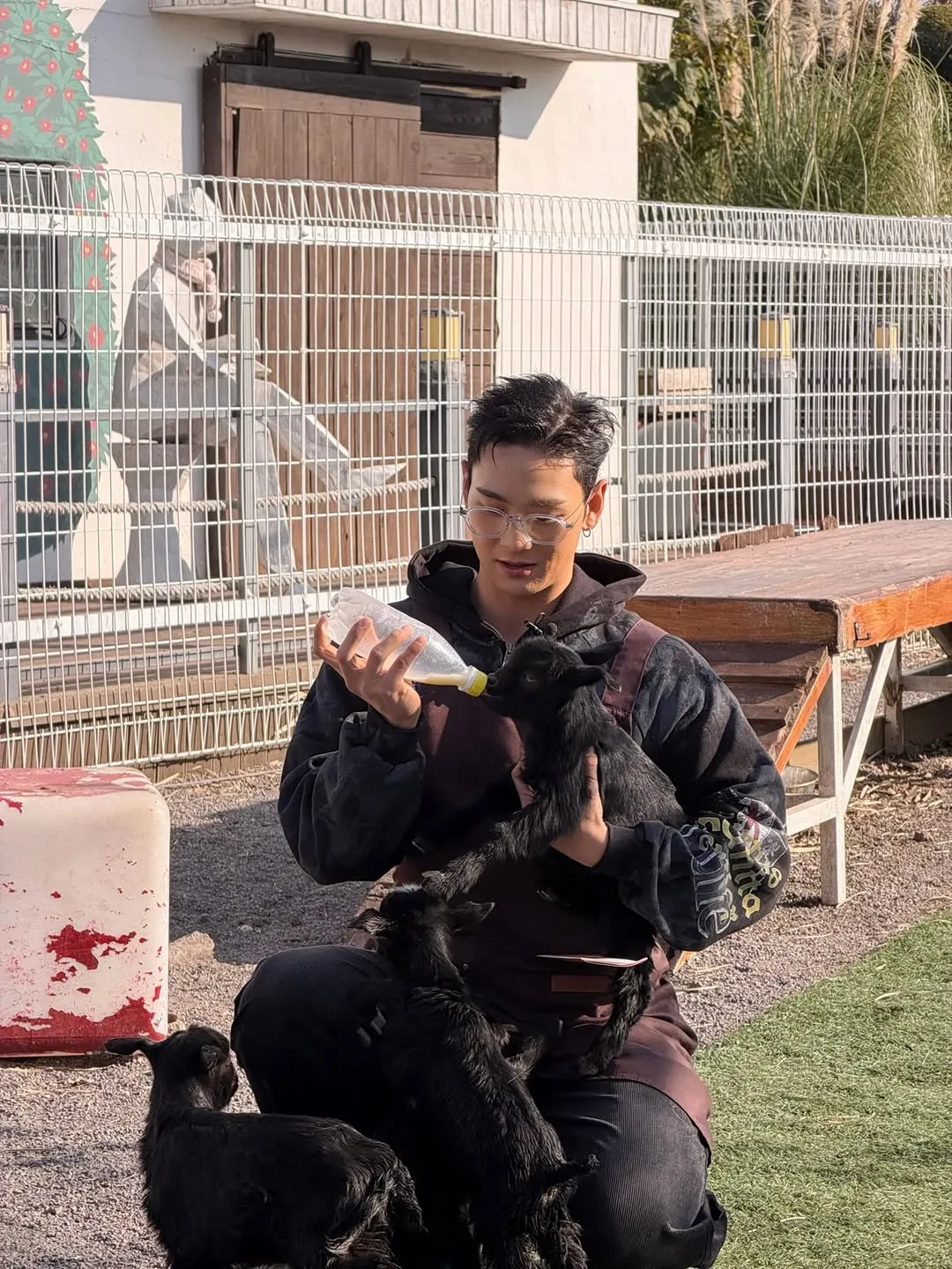 백호, 가수, 인스타그램