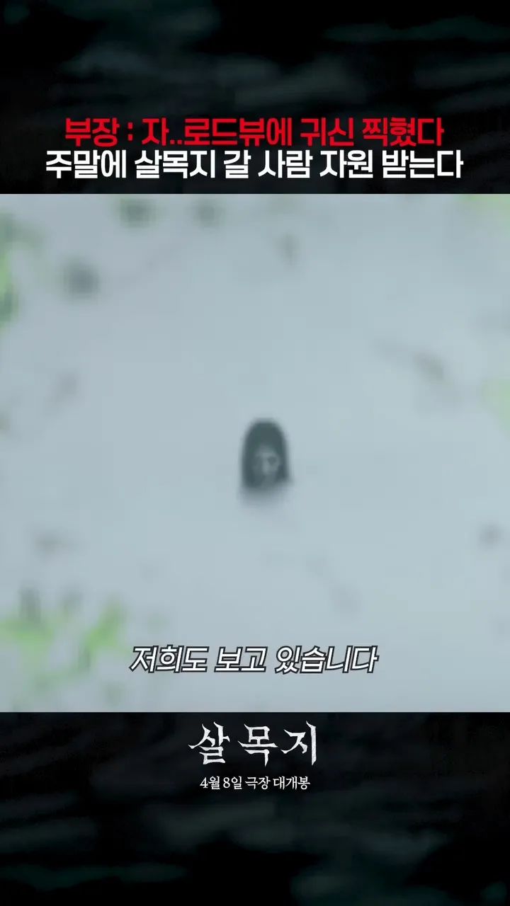 ショーボックス, 映画, 幽霊, サルモクジ, ロードビュー