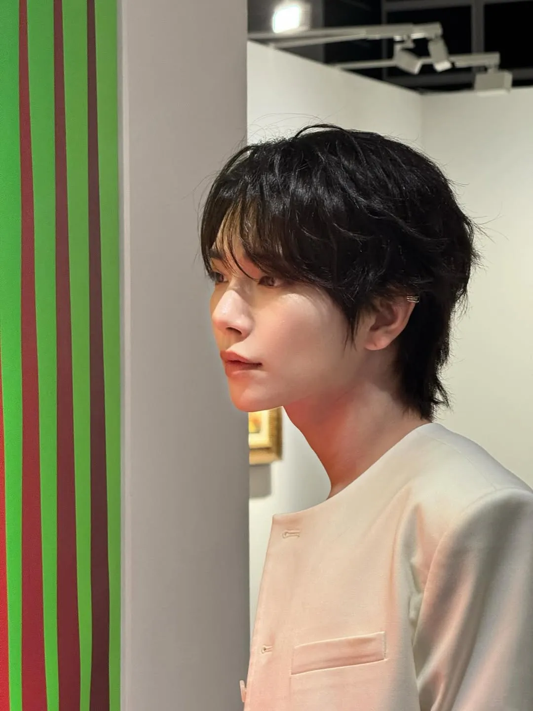 โจชัว (SEVENTEEN), ไอดอล, ทริปฮ่องกง