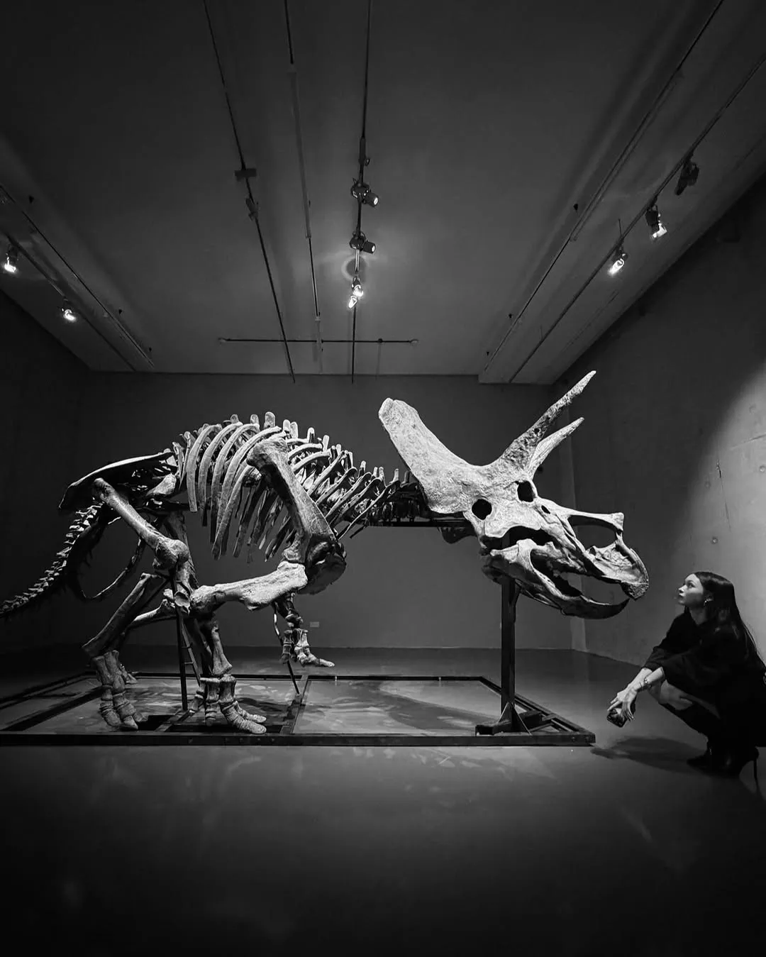 올데이 프로젝트 애니, 업데이트, 인스타그램