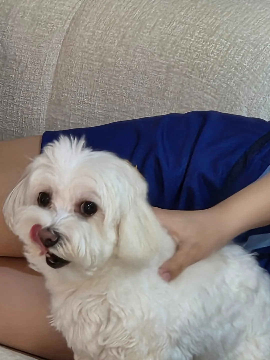 Un Choi Dong-seok imparable comparte su apacible noche con Ttoto