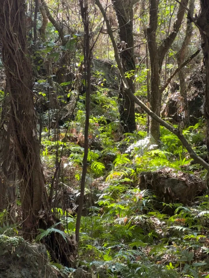 คิมแทรีผู้เพลิดเพลินกับธรรมชาติ รอยยิ้มระหว่างเดินเล่น