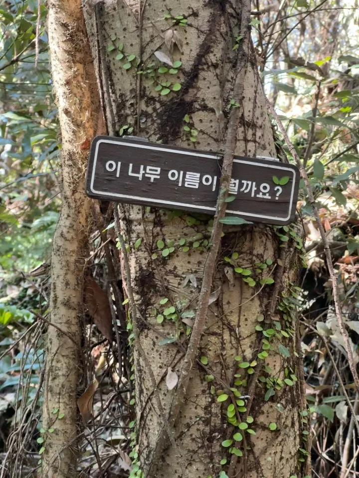 คิมแทรี, นักแสดง, อินสตาแกรม, เดินเล่น, ธรรมชาติ