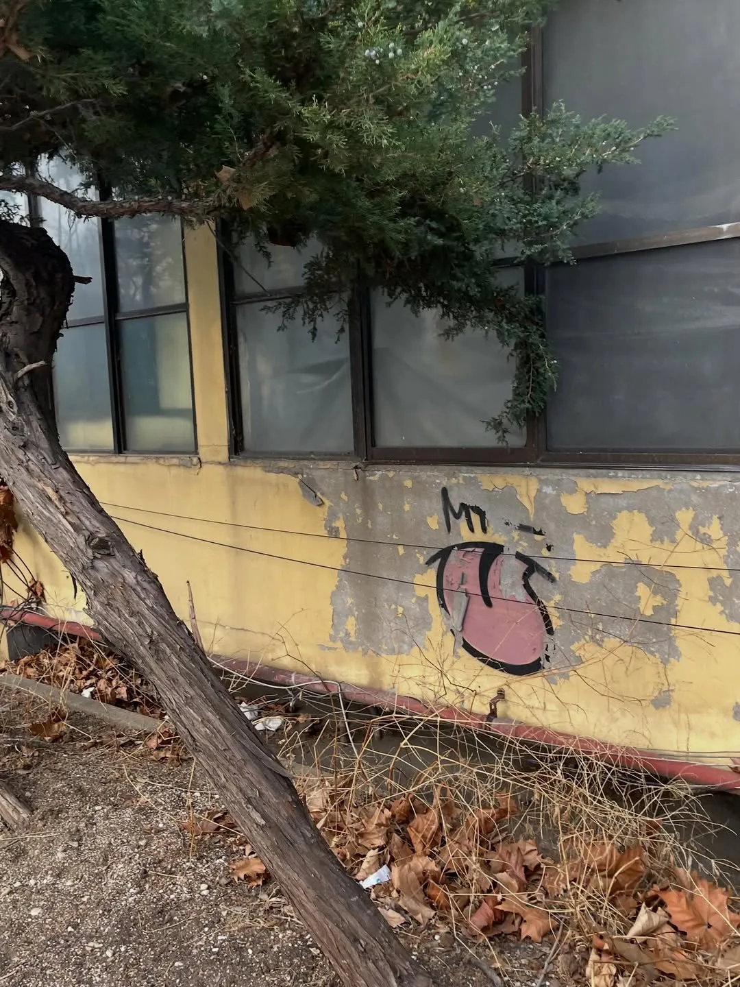 Kim Hyang-gi, Actor, SNS, Update, Fans