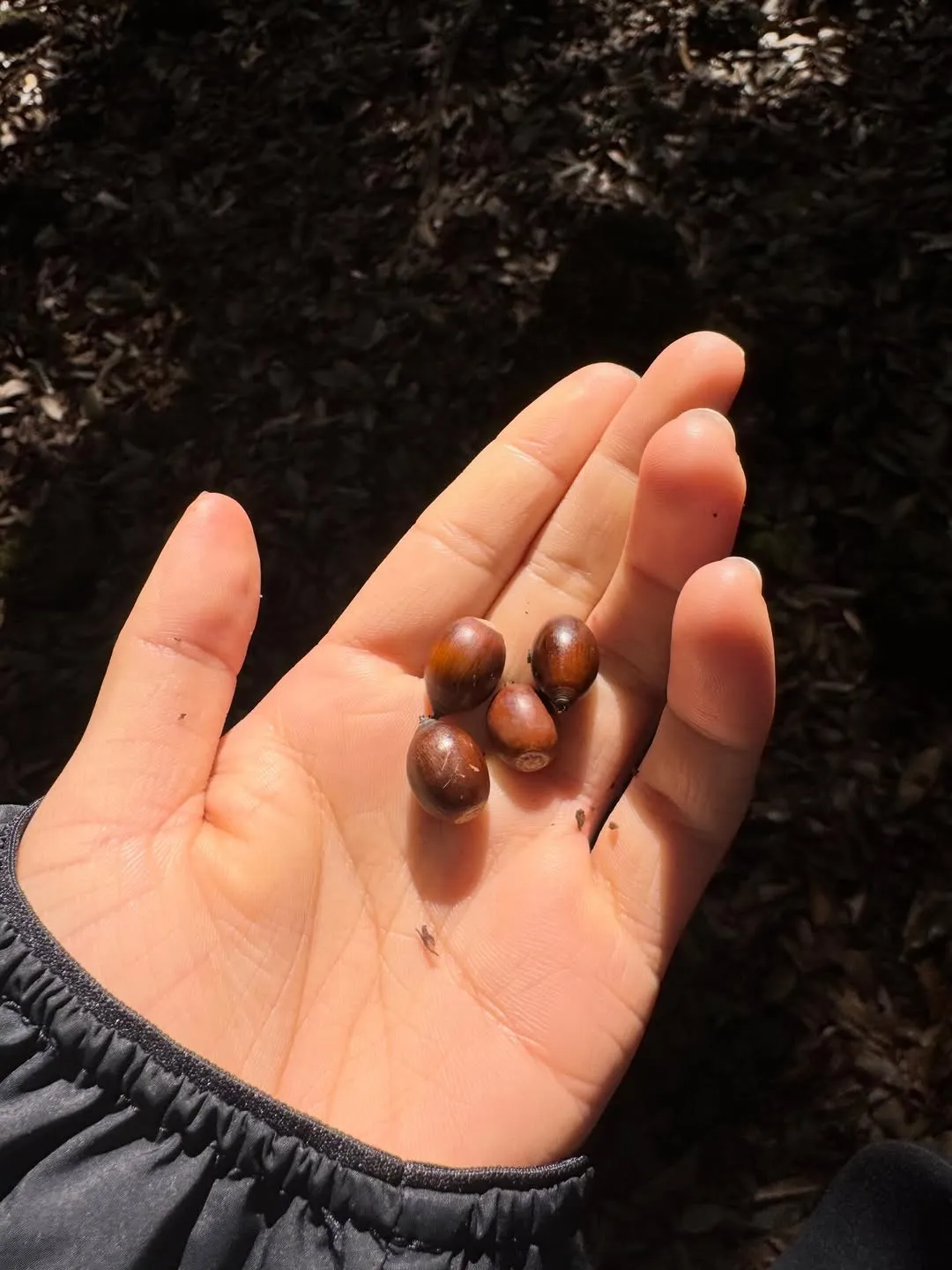 คิมแทรี, นักแสดง, อินสตาแกรม, เดินเล่น, ธรรมชาติ