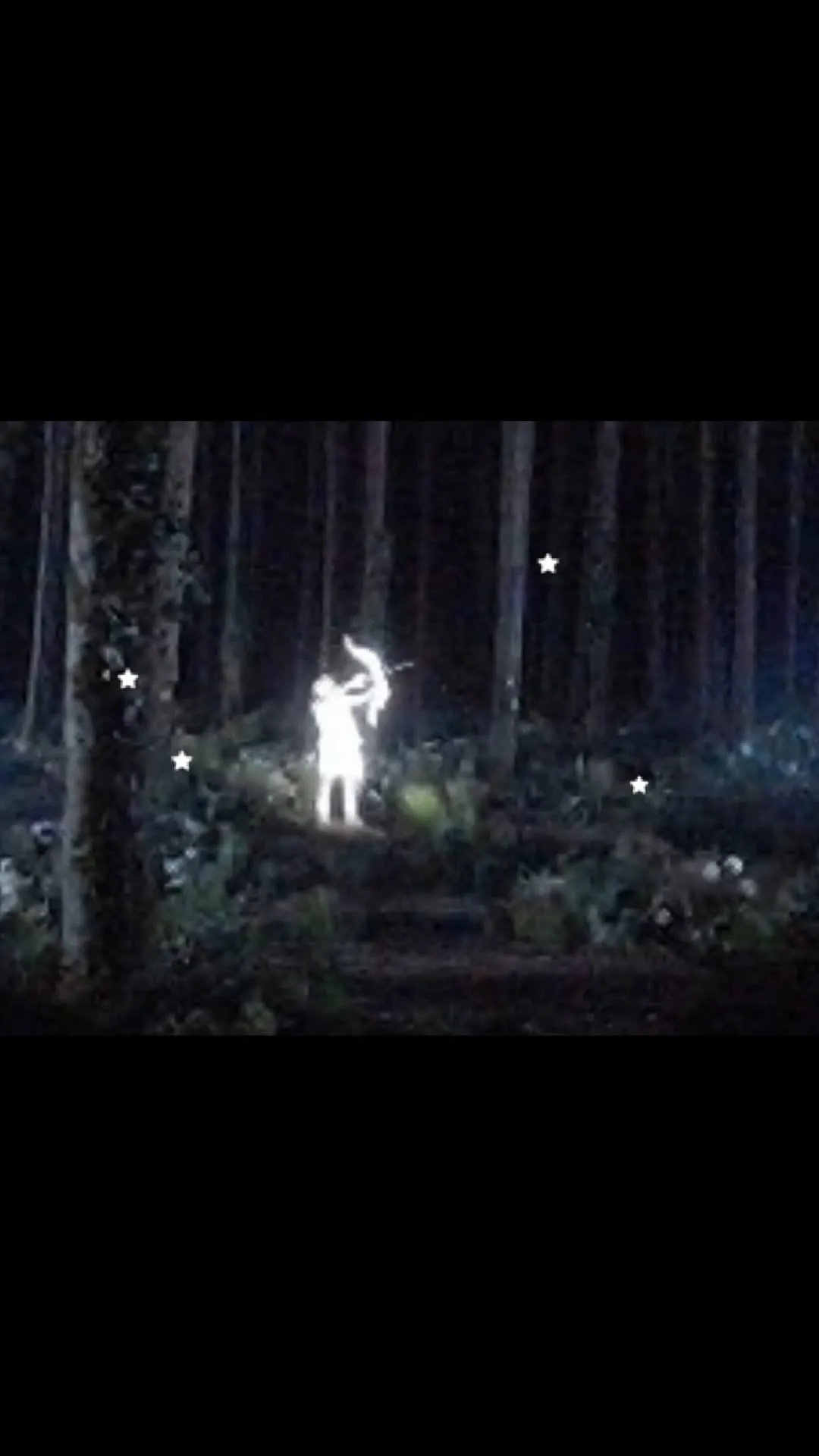 엔시티, 프로젝트, 새로운, 팬들, 기대