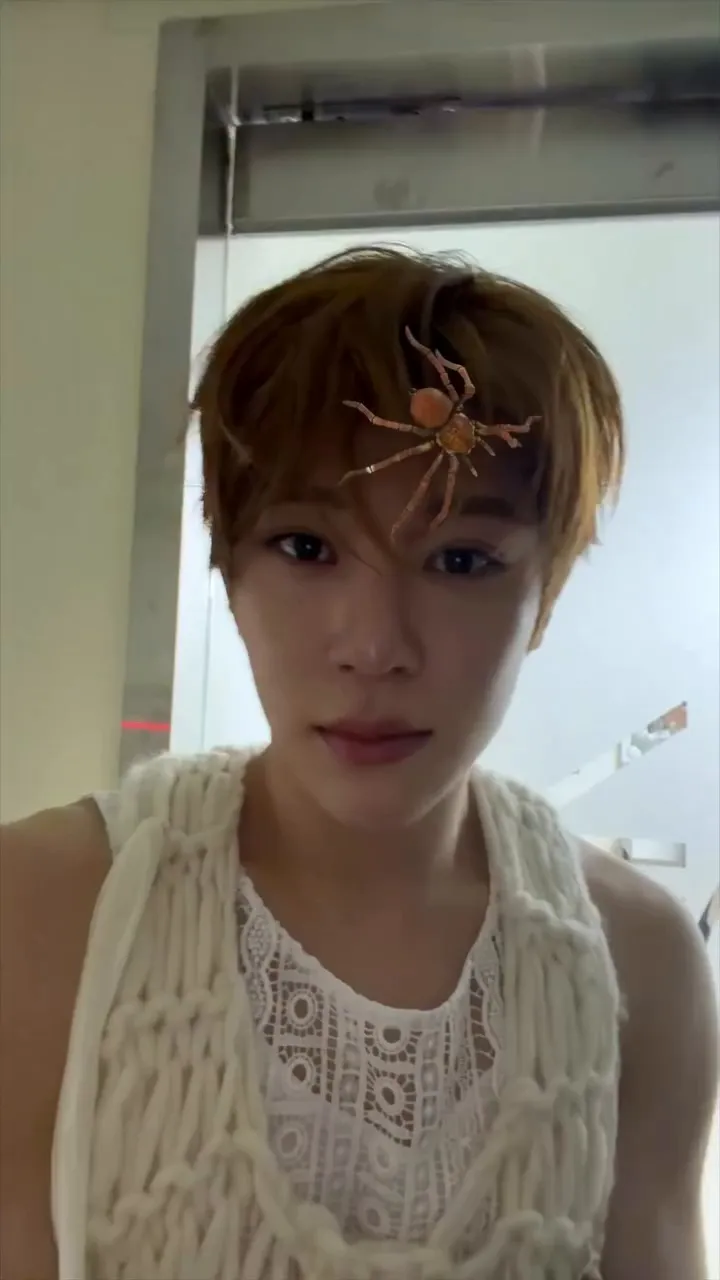 NCT, WISH, love, fans, message