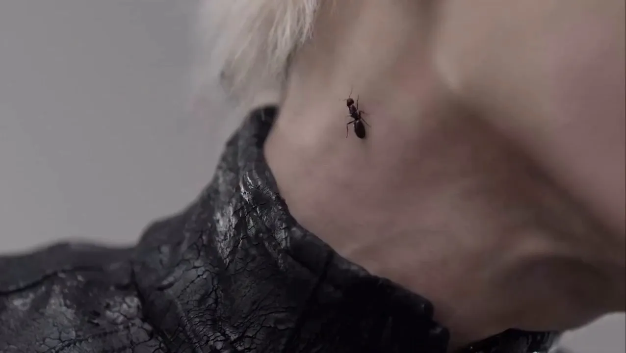 NCT, Taeyong, album, WYLD, teaser