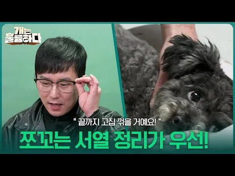 「一定要把牠的固執改過來！」KBS《狗狗很優秀》巧可的順位整理挑戰記