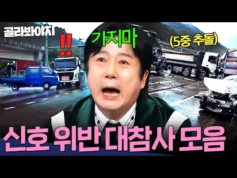 違反號誌事故集錦，韓文哲的銳利洞察