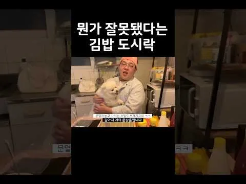 도시락에 대한 설렘, 기쁨과 절망의 갈림길