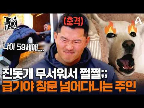 진돗개의 상전, 가족을 집 밖으로 내모는 "개와 늑대의 시간2"