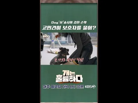 KBS 드라마 '개는 훌륭하다' 고심견의 행동 변화 극적으로 포착