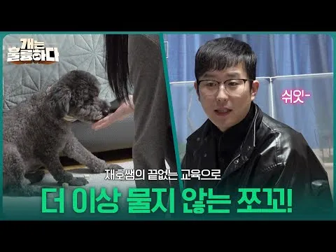 Huấn luyện hoàn hảo của thầy Jae-ho: Thành công với cách cho đồ ăn vặt an toàn!