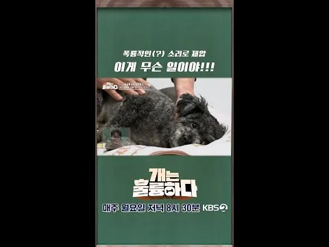 El 'rugido de dragón' de Lee Kyung-kyu que somete a un perro enciende las redes