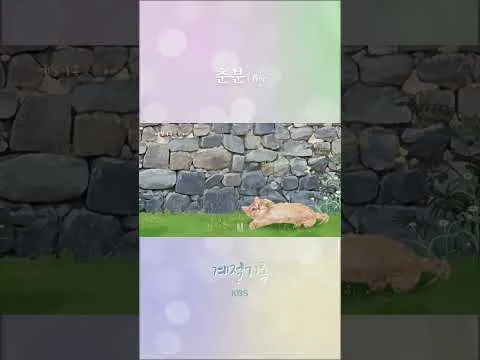 KBS, 춘분 맞이 새 영상 공개