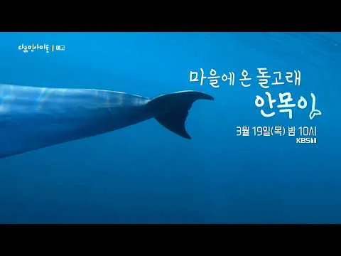 Docu Insight เผยเรื่องราวชวนพิศวงของ ‘อันโมกี’ ปลาโลมาผู้มาเยือนหมู่บ้าน