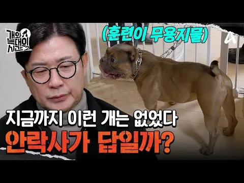 姜亨旭訓練師於《狗與狼的時間》第二季爆出震撼言論