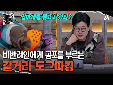 姜亨旭《狗与狼的时间》第二季，宠物犬训练重新聚焦