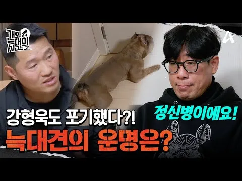 姜亨旭训犬师宣布放弃，于《狗与狼的时间2》中曝光