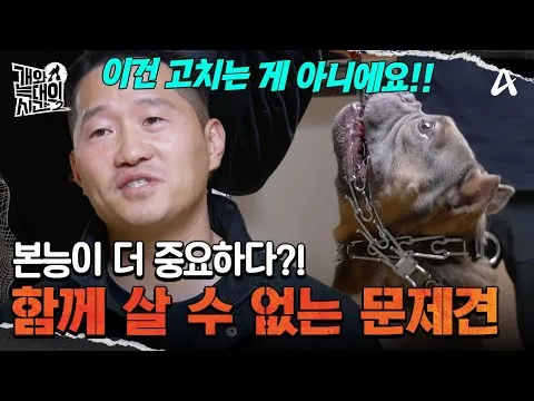 Kang Hyung-wook memperingatkan bahaya anjing keturunan serigala
