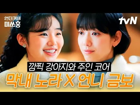 稳重型狗主人朴信惠与小狗崔智秀的成长记，《卧底洪小姐》