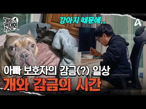 "Waktu Anjing dan Serigala 2" Episode 10, momen menegangkan saat pemilik terkunci di dalam kamar