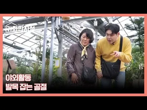 春季户外活动，需做好骨折预防