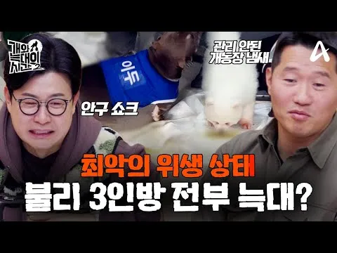 圧倒的なアメリカン・ブリー3頭の挑戦、「犬とオオカミの時間 シーズン2」