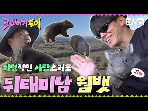 Wombat, pemilik pesona bokong yang mencolok, memikat perhatian empat pria