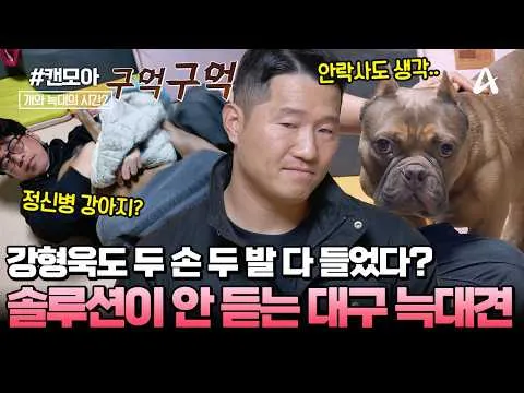 犬與狼的時間2，陷入問題解決的難關