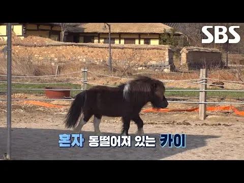 ไค เผยฉากรังแก ‘บาว’ ที่น้ำหนักต่างกันถึง 10 เท่า