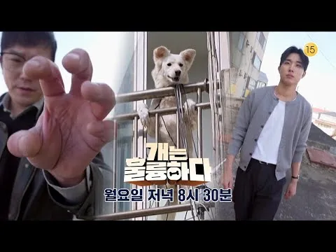 Is That Destructive Chewing an Escape Attempt?