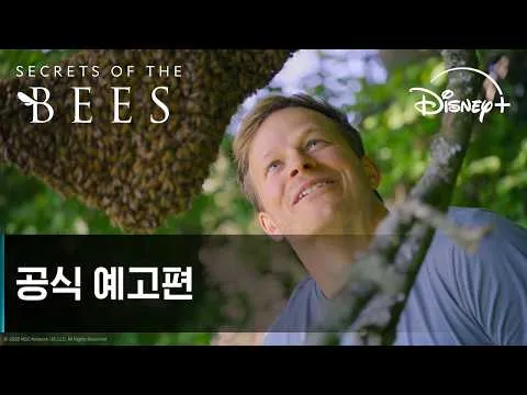 “ความลับของผึ้ง” ดิสนีย์+ ถ่ายทอดโลกของผึ้ง