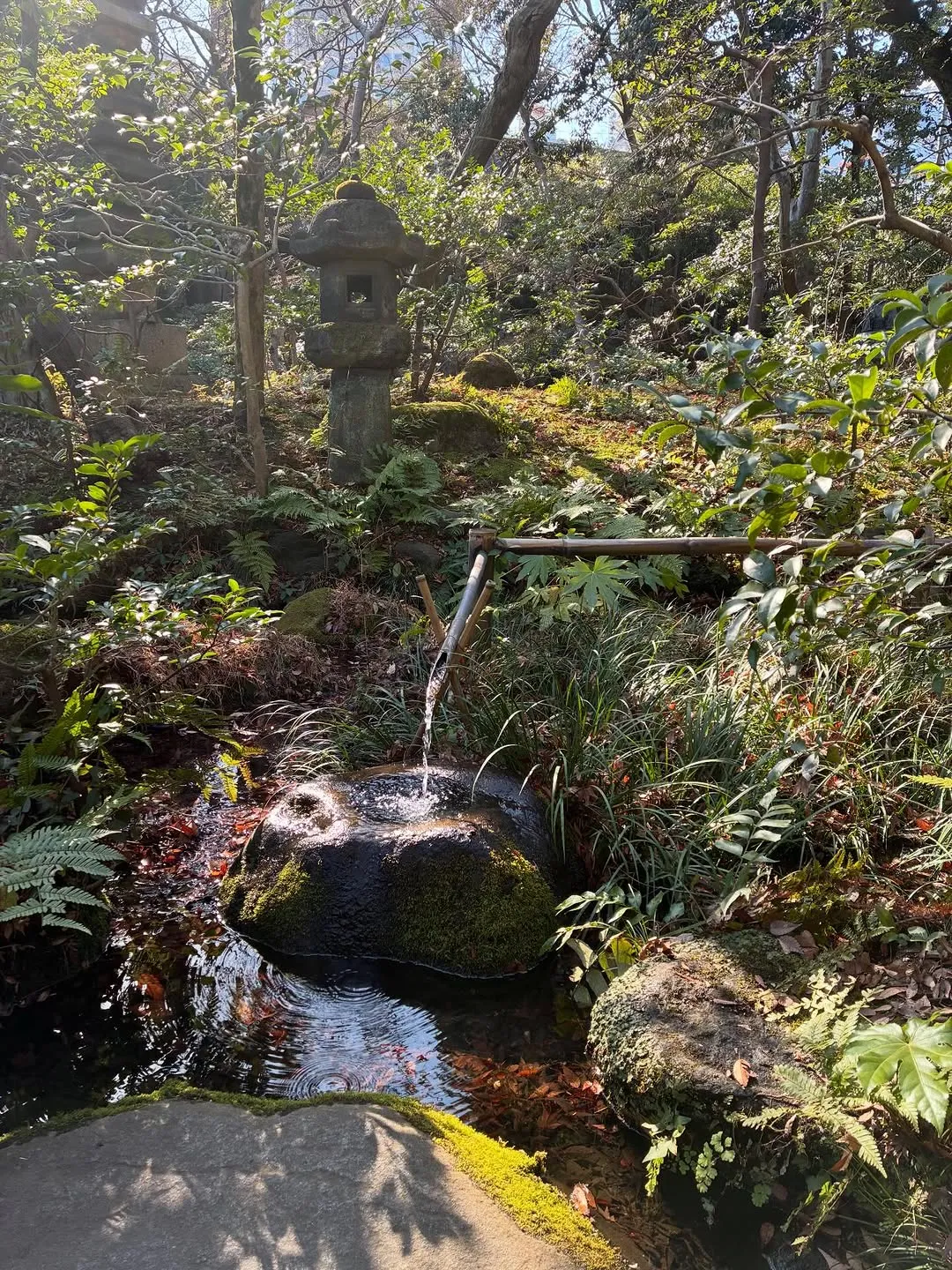 BoA, actualización, Instagram, fans, interacción