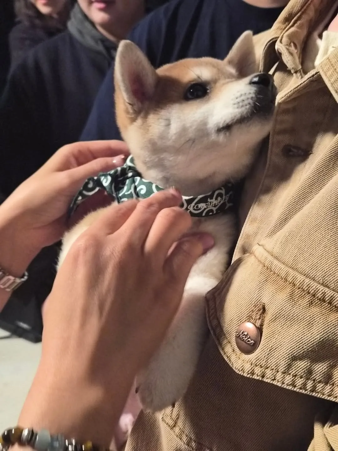 TOMORROW X TOGETHER, Beomgyu, Instagram, chó con, TXT