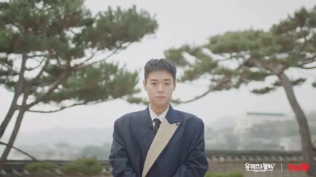 网红, 刘QUIZ, 朴志训, 回归, 播出