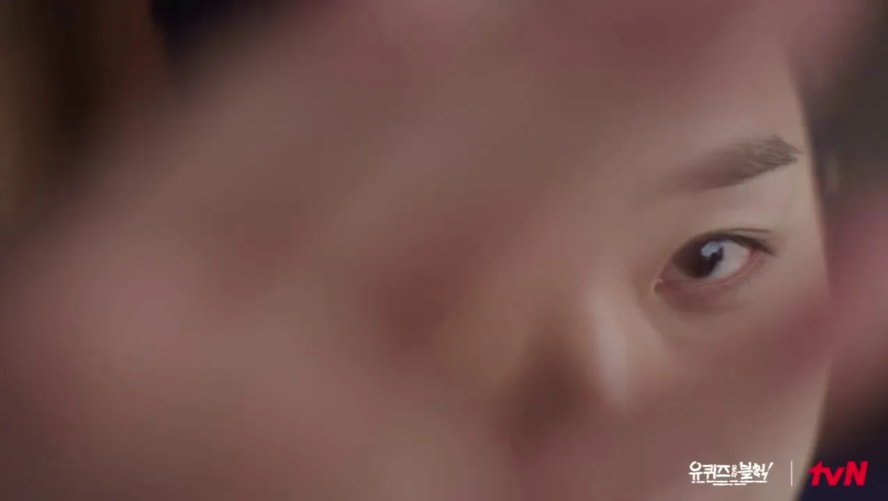 网红, 刘QUIZ, 朴志训, 回归, 播出