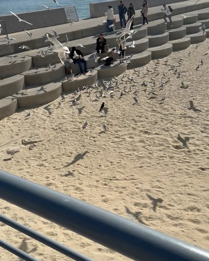 李鍾碩, 演員, SNS, 自拍, 粉絲