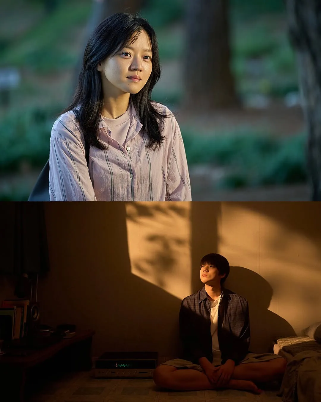 Netflix Coreia, influenciador, Pavane, streaming, reação