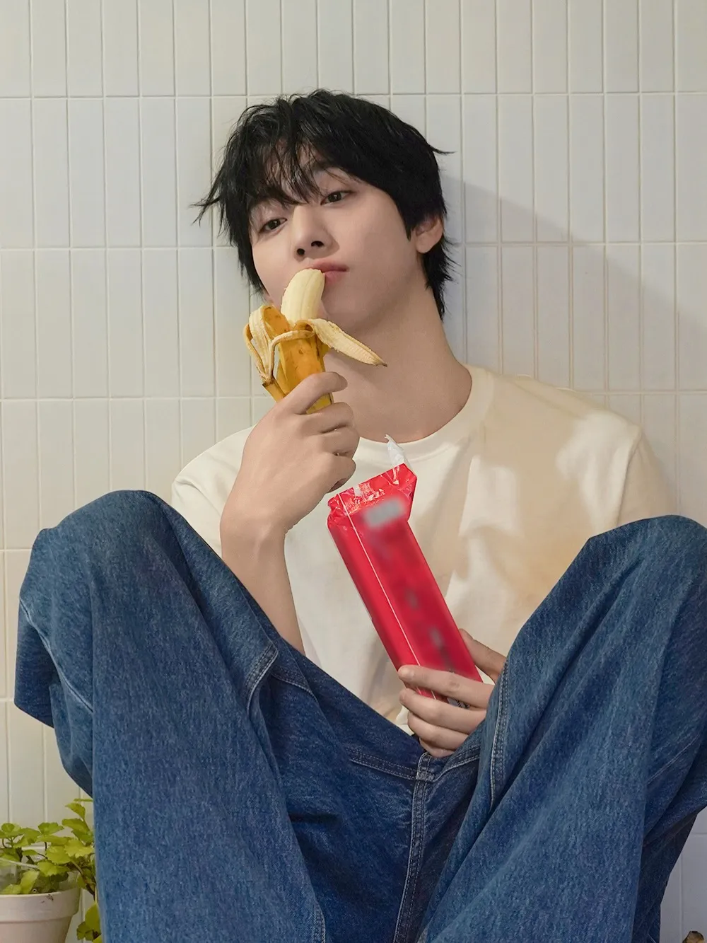 安孝燮, 季贺写真, Instagram, SBS, 今天也卖罄了, 电视剧