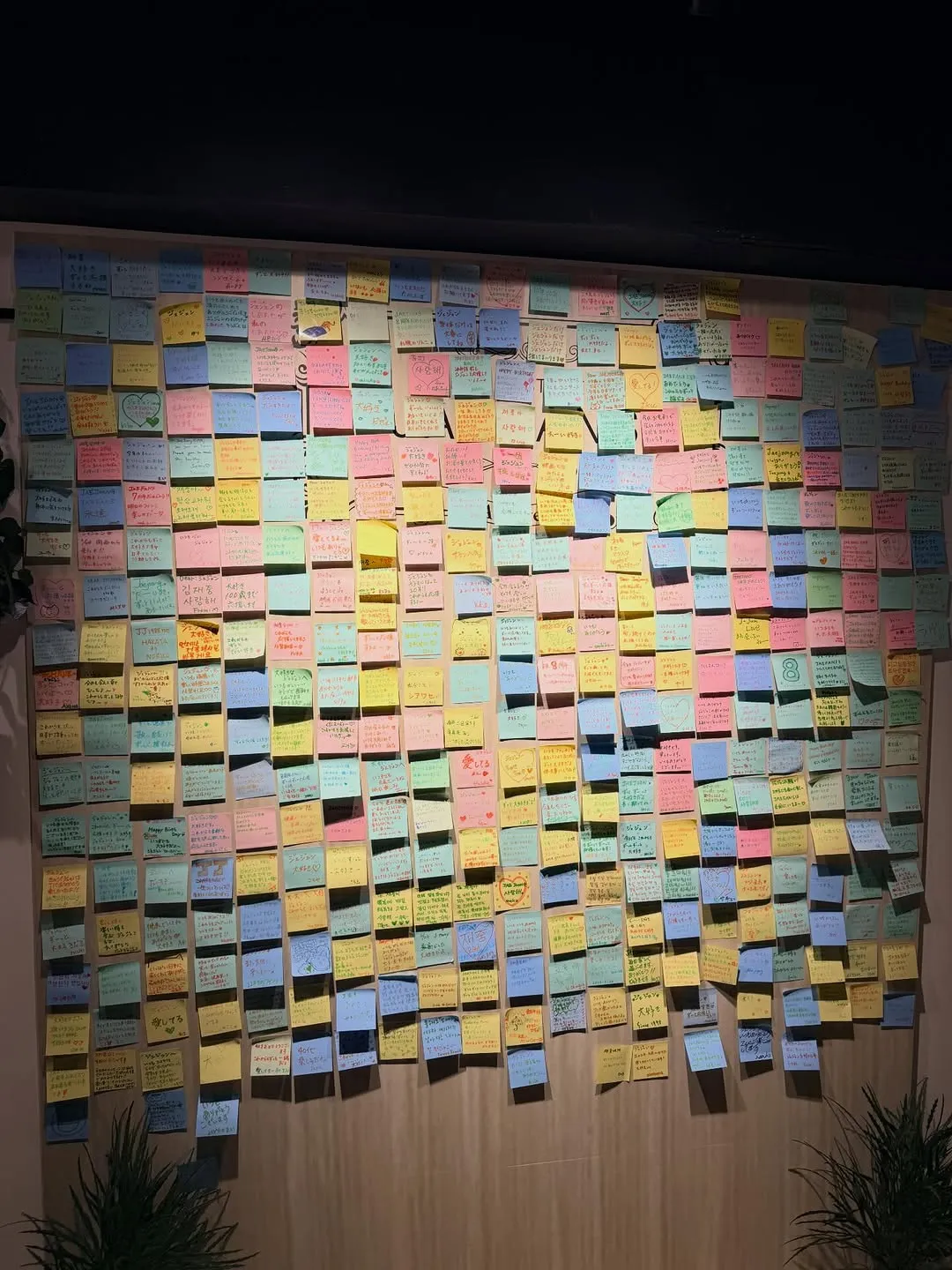 金在中, Instagram, 粉絲