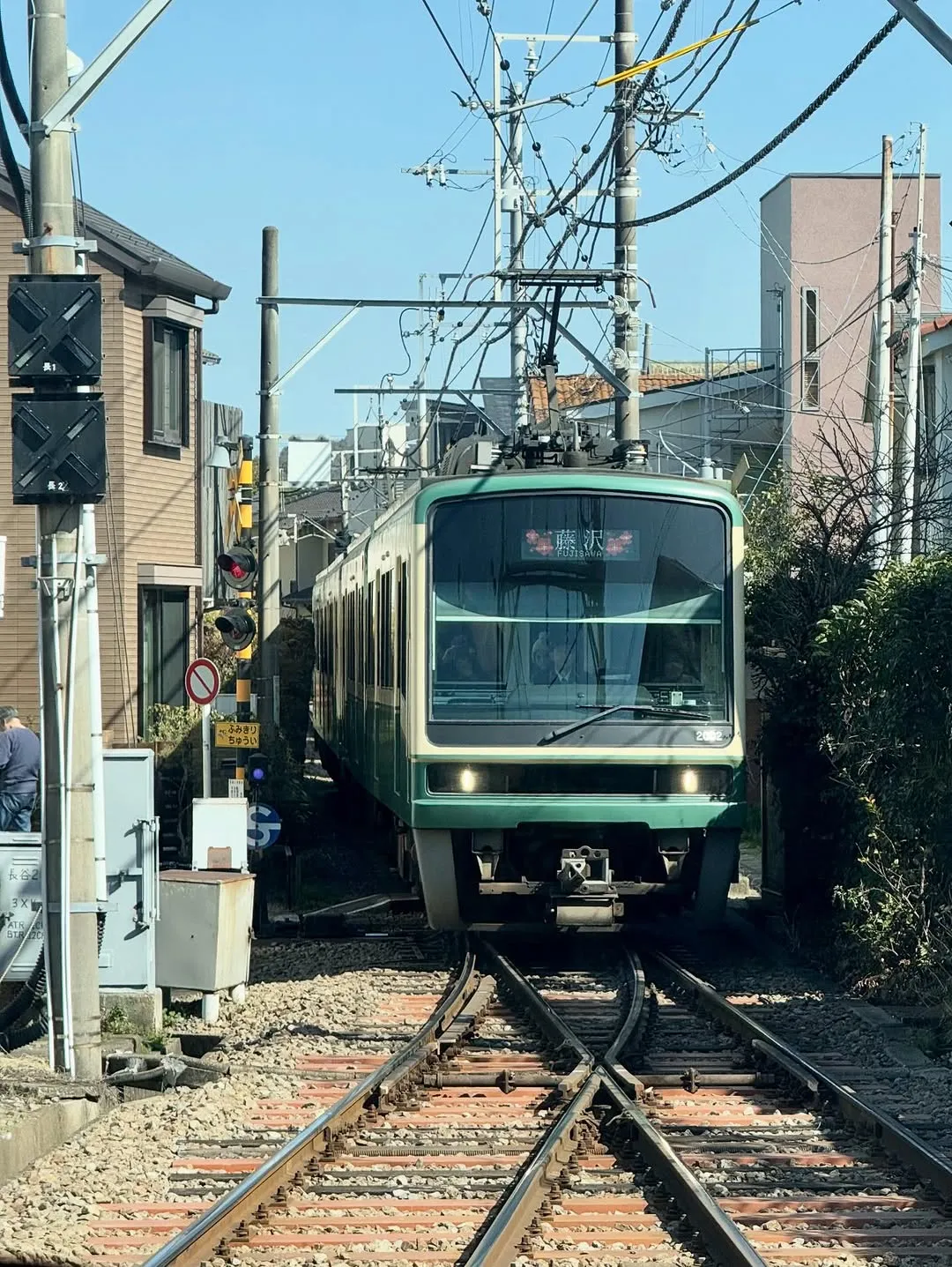 彩虹, 金栽經, 日本, 旅行, 美食