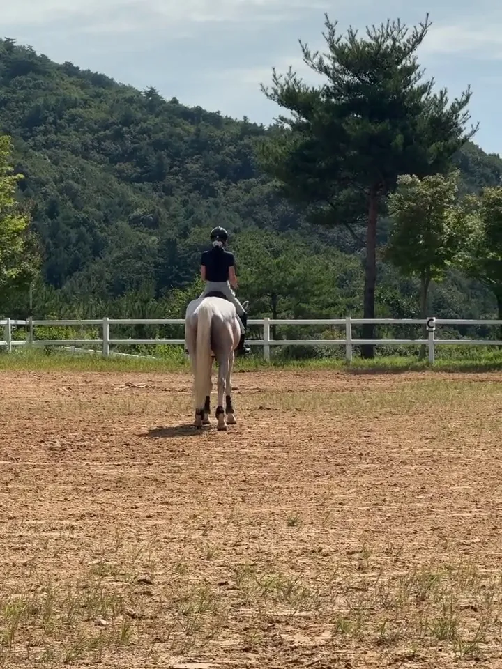 9MUSES, 文贤雅, 马术, 挑战, 资格证