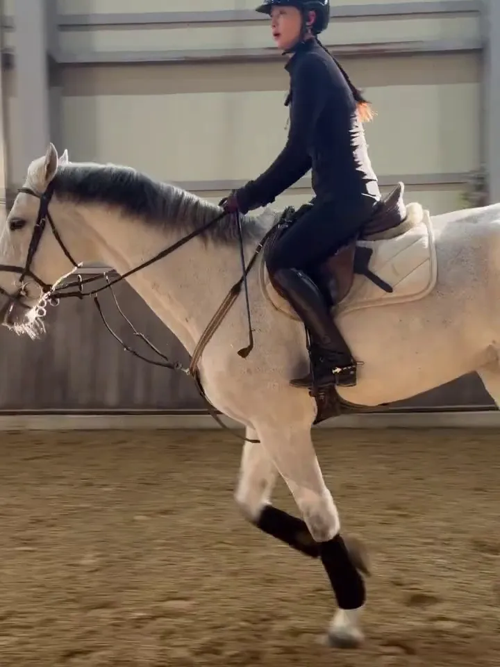 9MUSES, 文贤雅, 马术, 挑战, 资格证