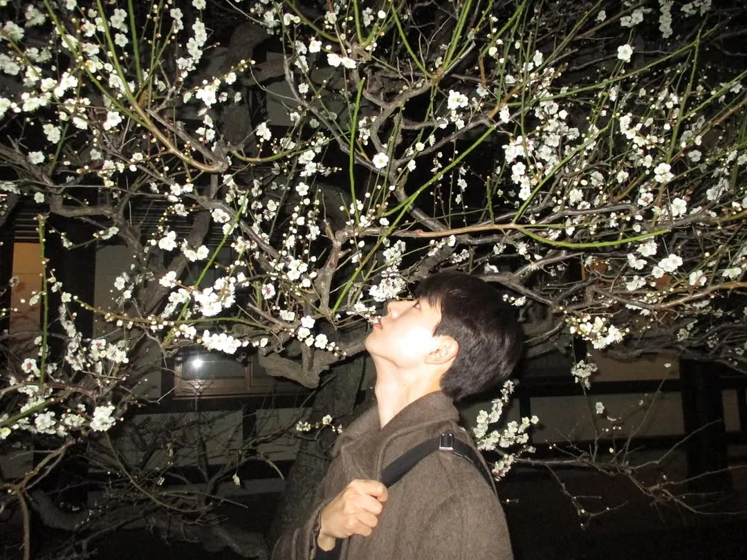 裴贤圣, 电视剧, 新作, Instagram, 申社长计划, 代替高考